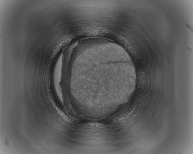 X0000097770590200804041154
