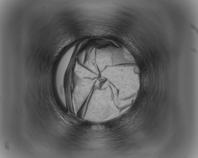 X0000097770591200804041154