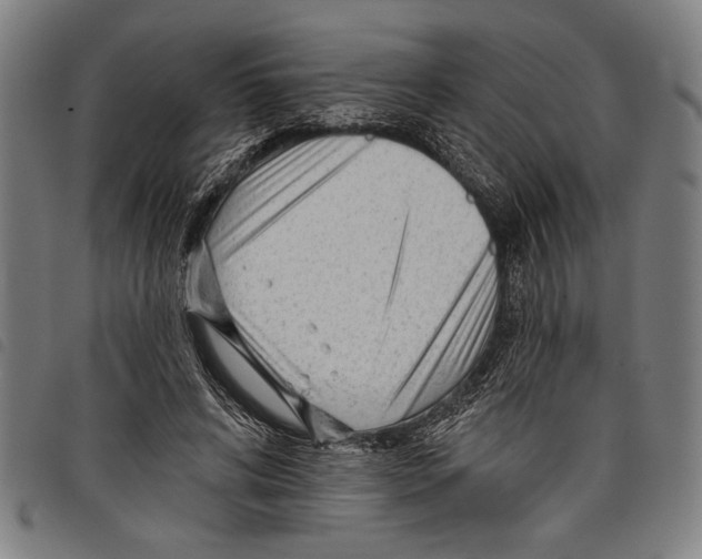 X0000097770592200804041154