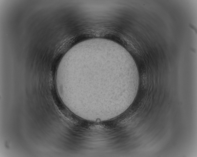 X0000097770594200804041154