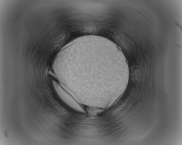 X0000097770597200804041154