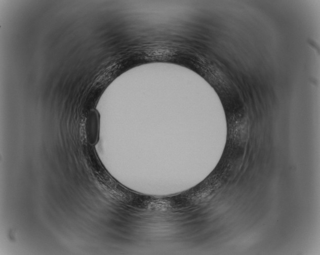 X0000097770599200804041154