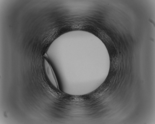 X0000097770601200804041154