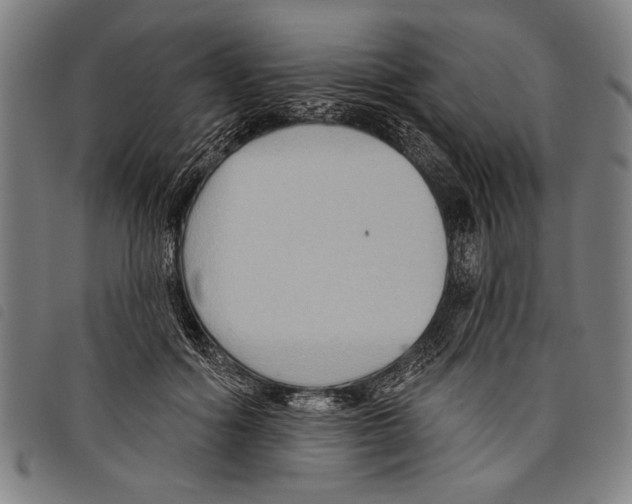 X0000097770602200804041154