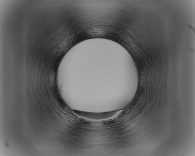 X0000097770604200804041154
