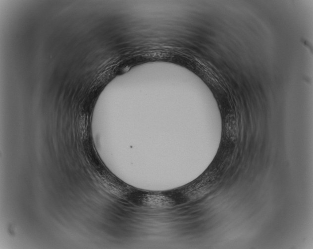 X0000097770605200804041154