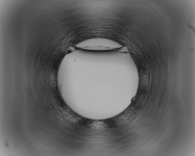 X0000097770609200804041154