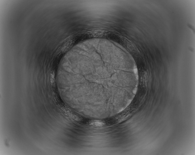 X0000097770610200804041154