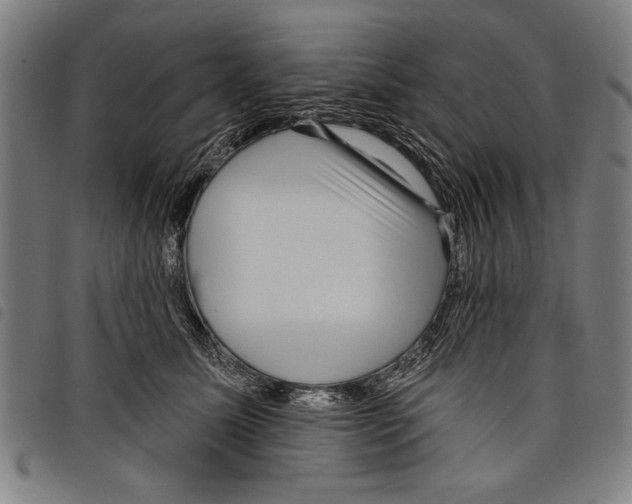 X0000097770611200804041154