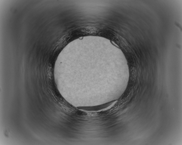 X0000097770612200804041154