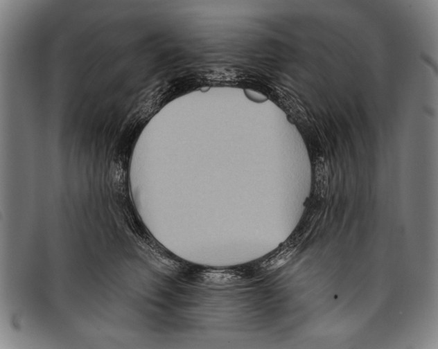 X0000097770614200804041154