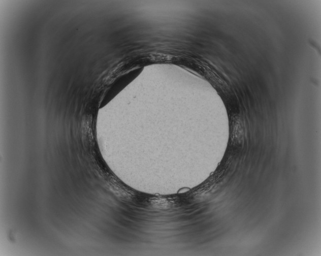 X0000097770616200804041154