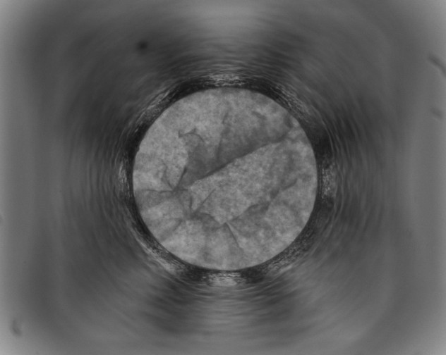 X0000097770618200804041154