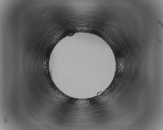 X0000097770619200804041154