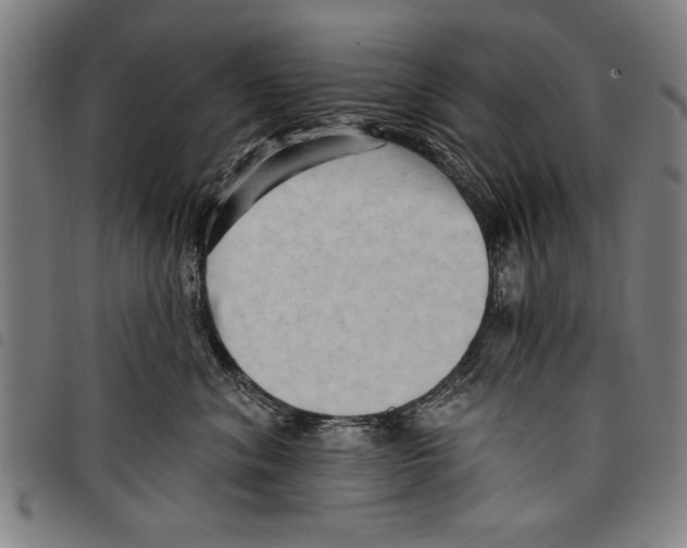 X0000097770620200804041154