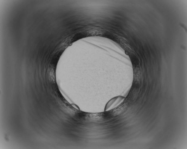 X0000097770622200804041153