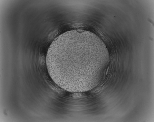 X0000097770623200804041153