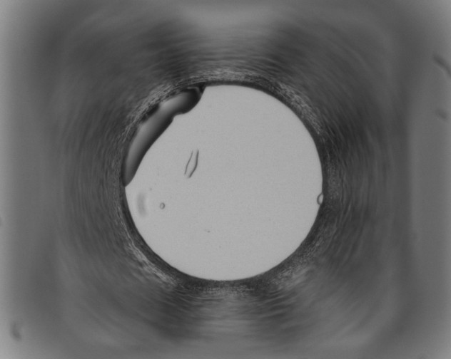 X0000097770625200804041153