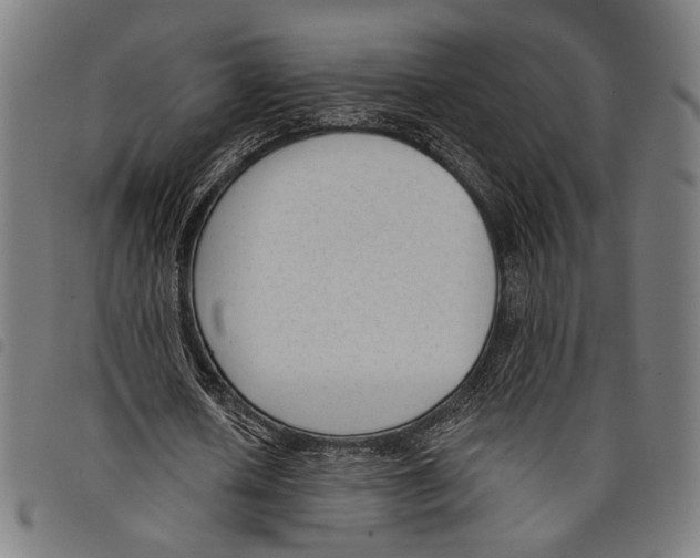 X0000097770626200804041153