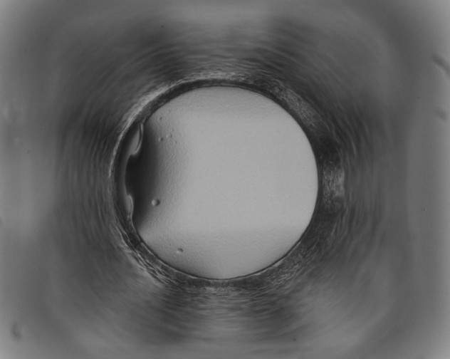 X0000097770628200804041153