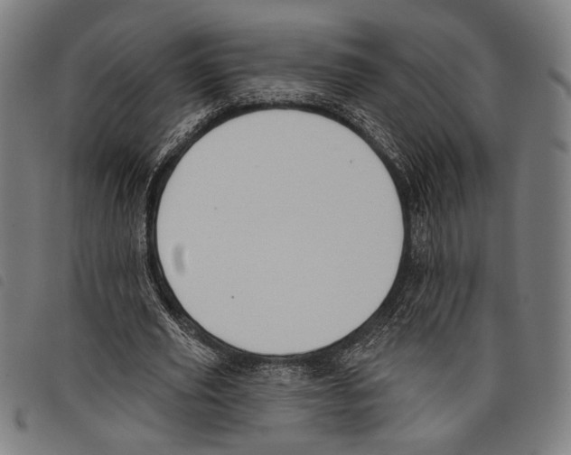 X0000097770629200804041153