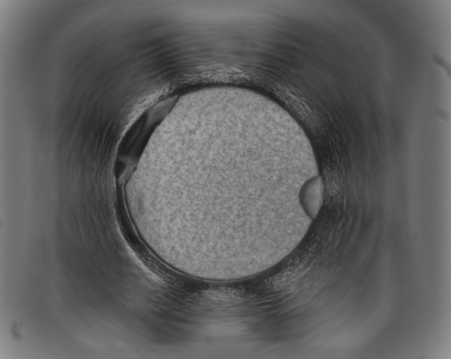 X0000097770630200804041153
