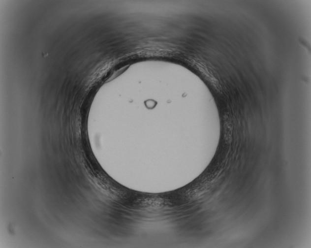 X0000097770631200804041153