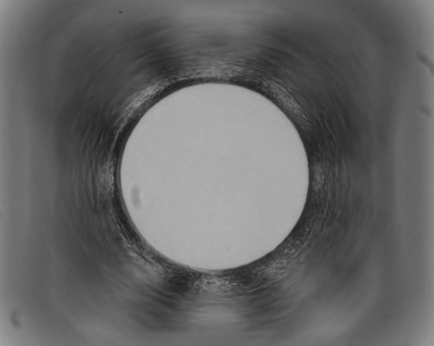 X0000097770632200804041153