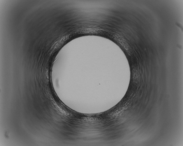 X0000097770633200804041153