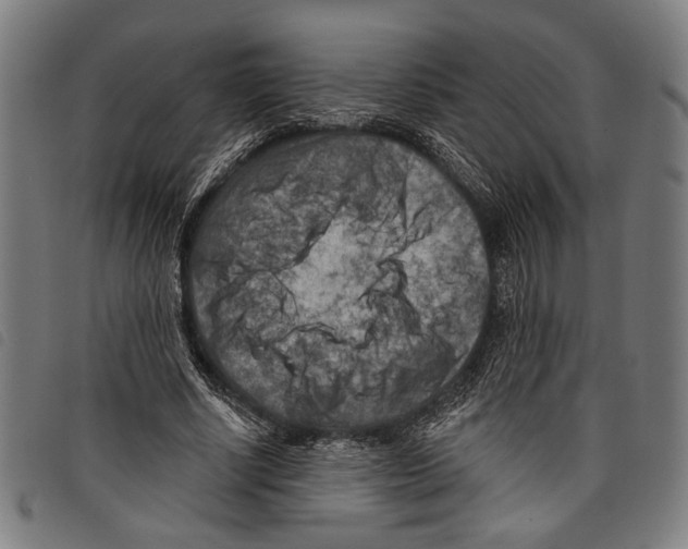 X0000097770634200804041153