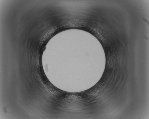 X0000097770635200804041153
