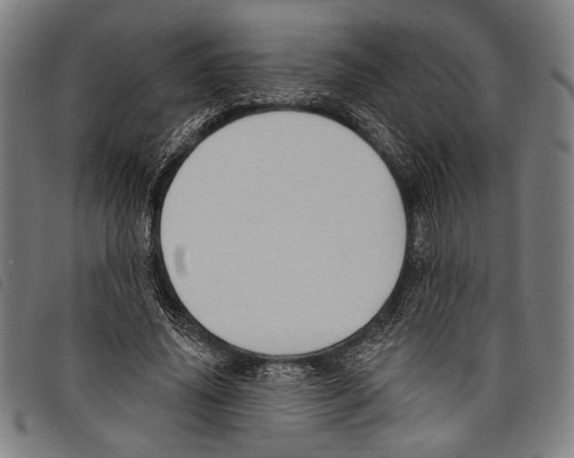 X0000097770636200804041153