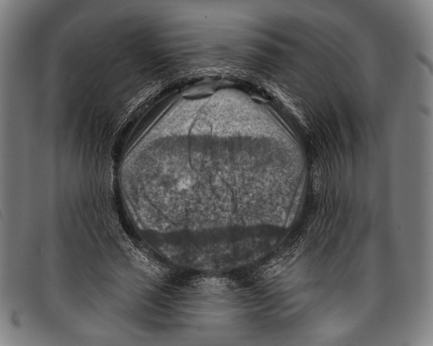 X0000097770637200804041153