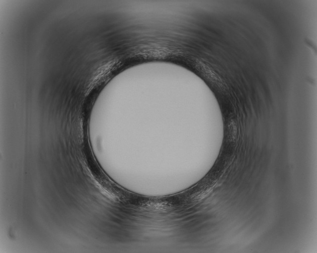 X0000097770638200804041153
