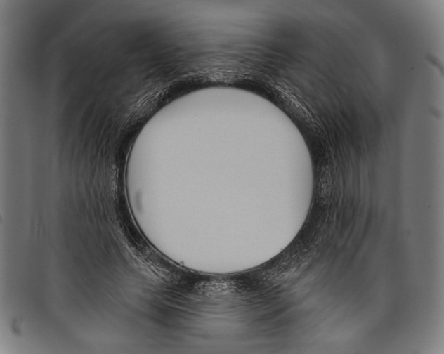 X0000097770639200804041153