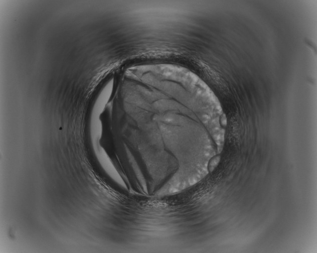 X0000097770640200804041153