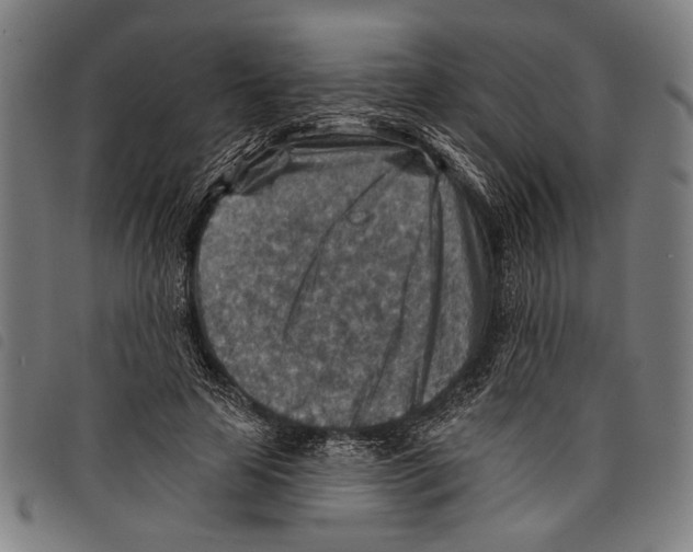 X0000097770641200804041153