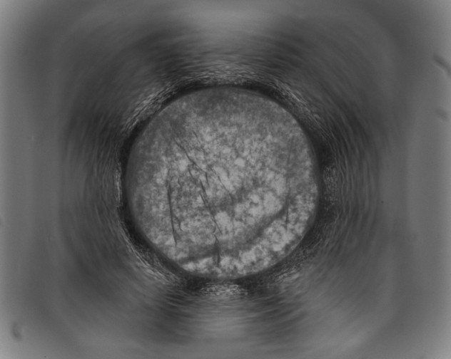 X0000097770642200804041153