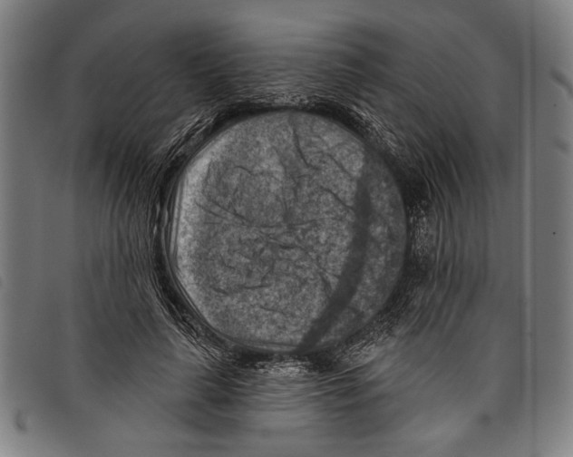X0000097770643200804041153