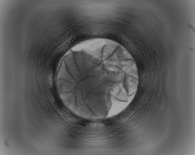 X0000097770644200804041153