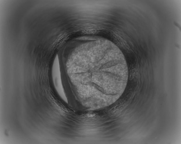 X0000097770647200804041153