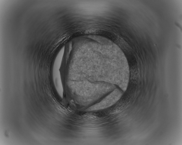 X0000097770648200804041153