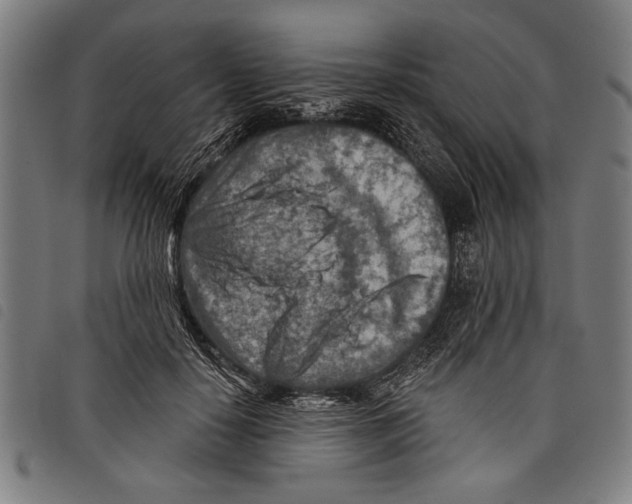 X0000097770650200804041153