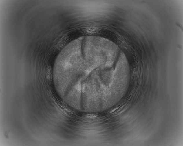 X0000097770651200804041153
