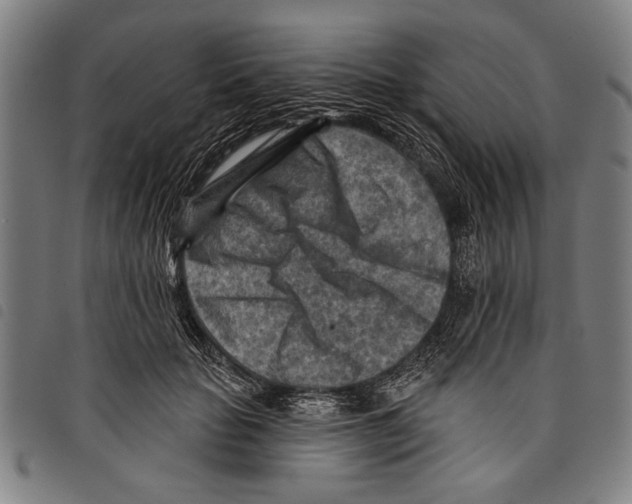 X0000097770653200804041153