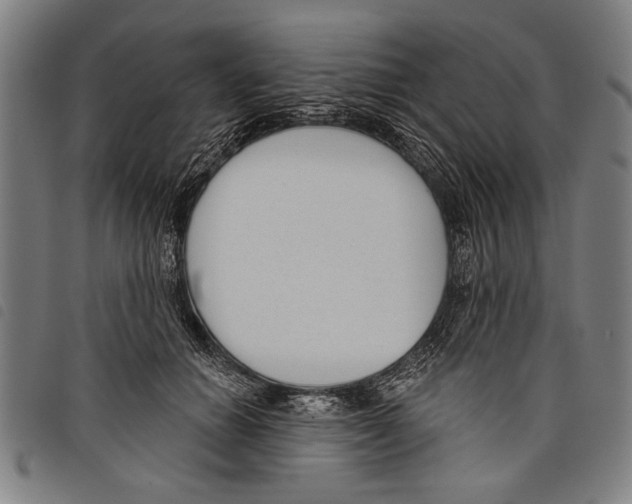 X0000097770654200804041153