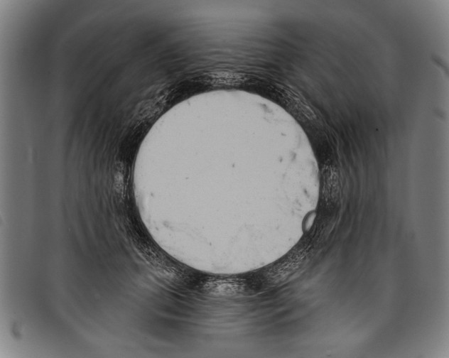X0000097770655200804041153