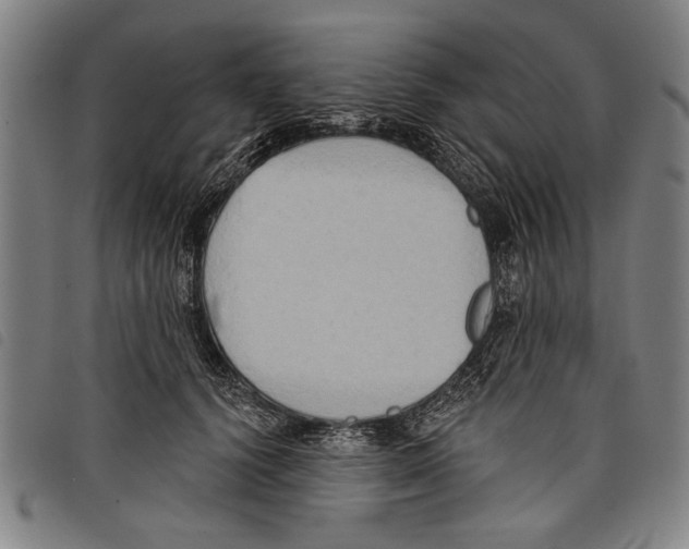 X0000097770656200804041153