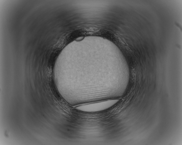 X0000097770657200804041153