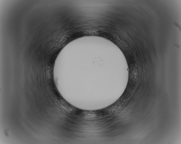X0000097770658200804041153